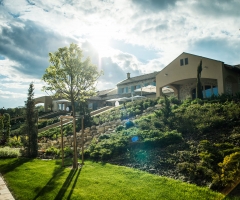 Villa Vitae&nbsp;Hotel Balatonfüred